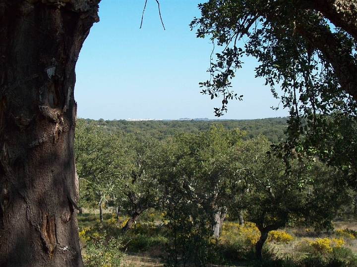 2009_portugal 219